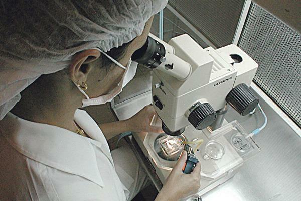 STJ begins to judge whether health insurance should pay for IVF