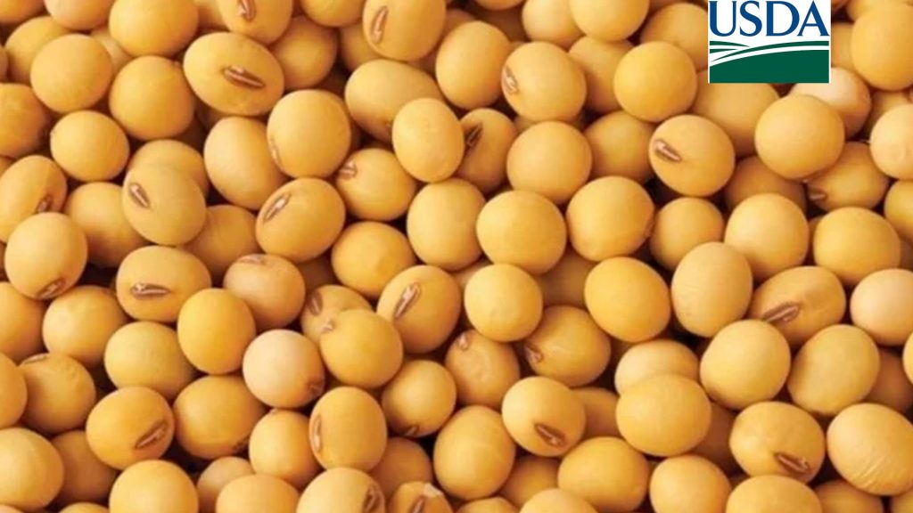USDA: Quarterly US soybean stocks came in higher than expected and Chicago...