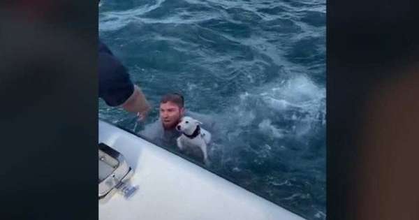 Watch the video: Sailors rescue a dog lost in the ocean - International