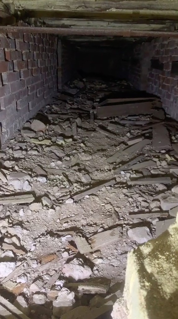 A secret passage has been discovered behind a bookshelf in a 500-year-old house (Image: Instagram/freddygoodall)