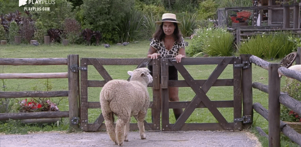 Diane accuses Solange of making a VT when he sees her with the sheep