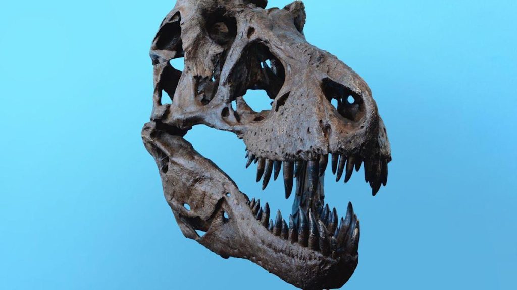 "Lacy" dinosaur found in England