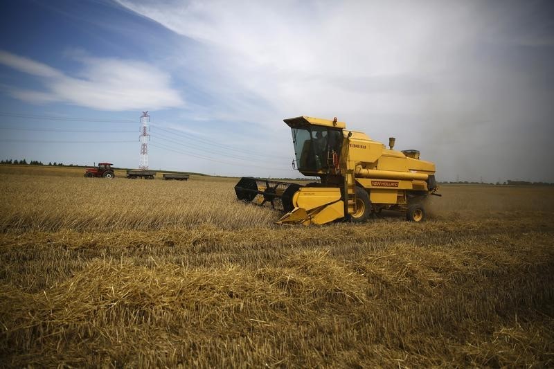 Soft wheat crop likely to fall in EU and UK, says Coceral By Reuters