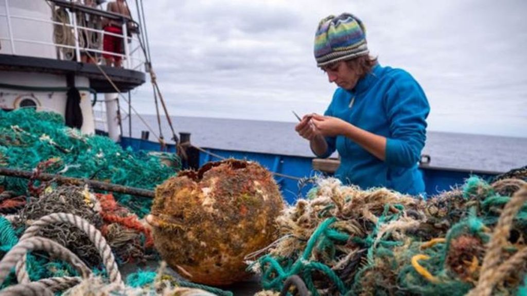 Giant plastic patch in the ocean creates new habitat for marine animals |  environment