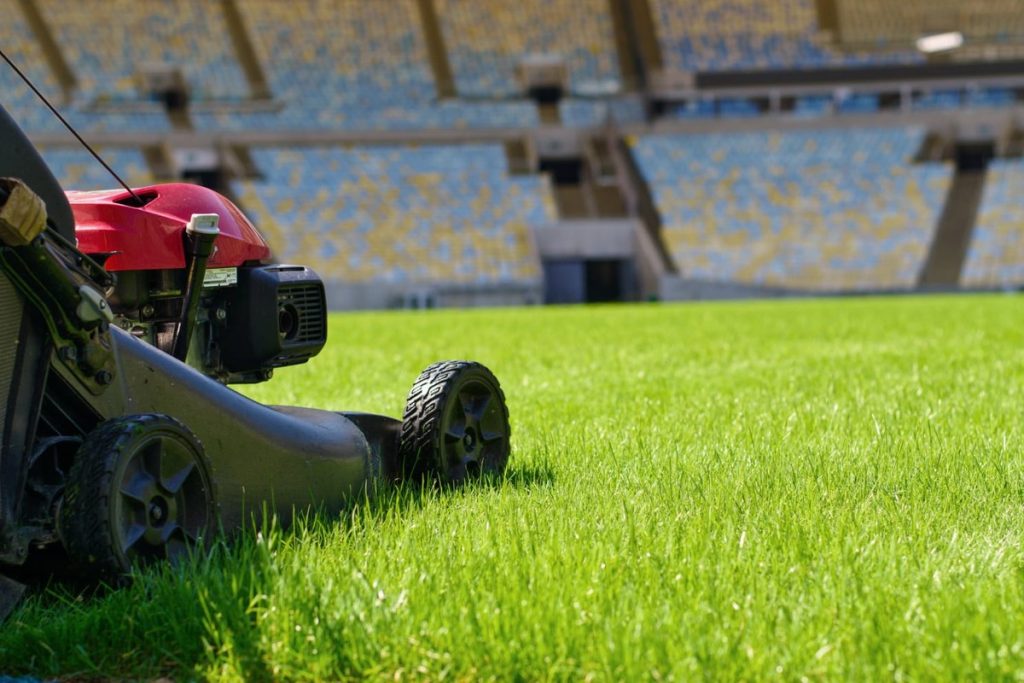 The Maracana will use hybrid grass in 2022;  At an estimated cost of R$4 million and will take 90 days |  football