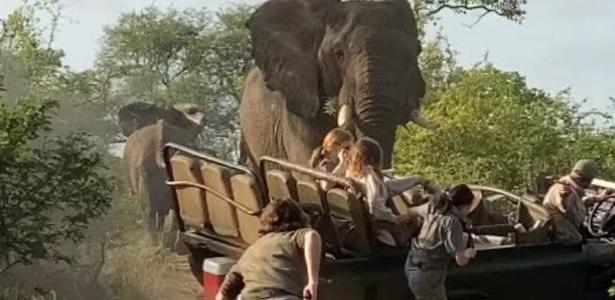 Video showing an elephant attacking a safari car in South Africa