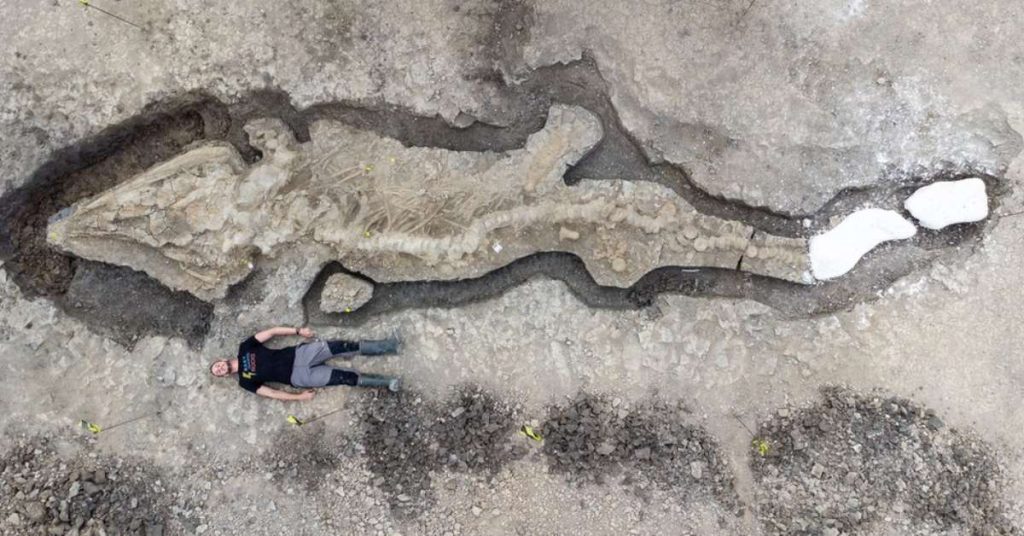 Image of a 'giant sea dragon' found in England
