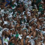 Palmeiras cuts prices for Paulista debut tickets