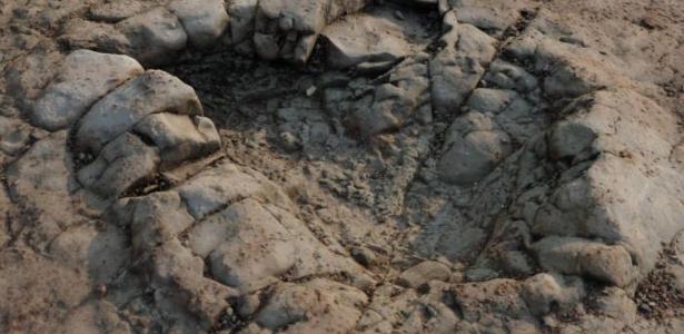 Footprints dating back 200 million years have been discovered