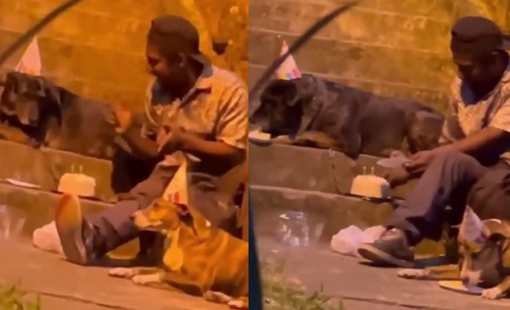 Homeless person sings happy birthday with dogs, shares cake and gets emotional
