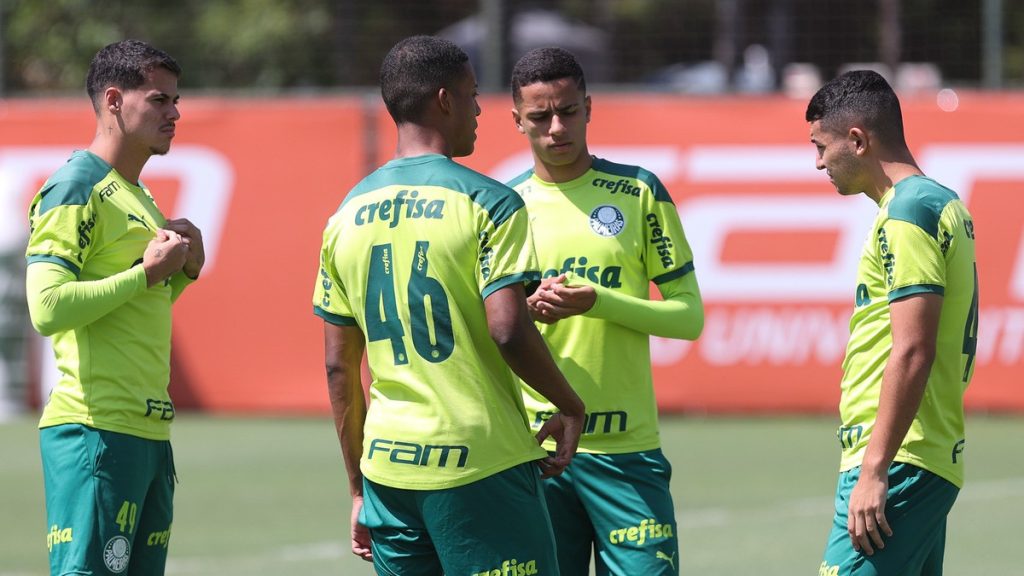 Palmeiras completes the list of entries in the Paulista Championship;  See what's new |  Palm trees