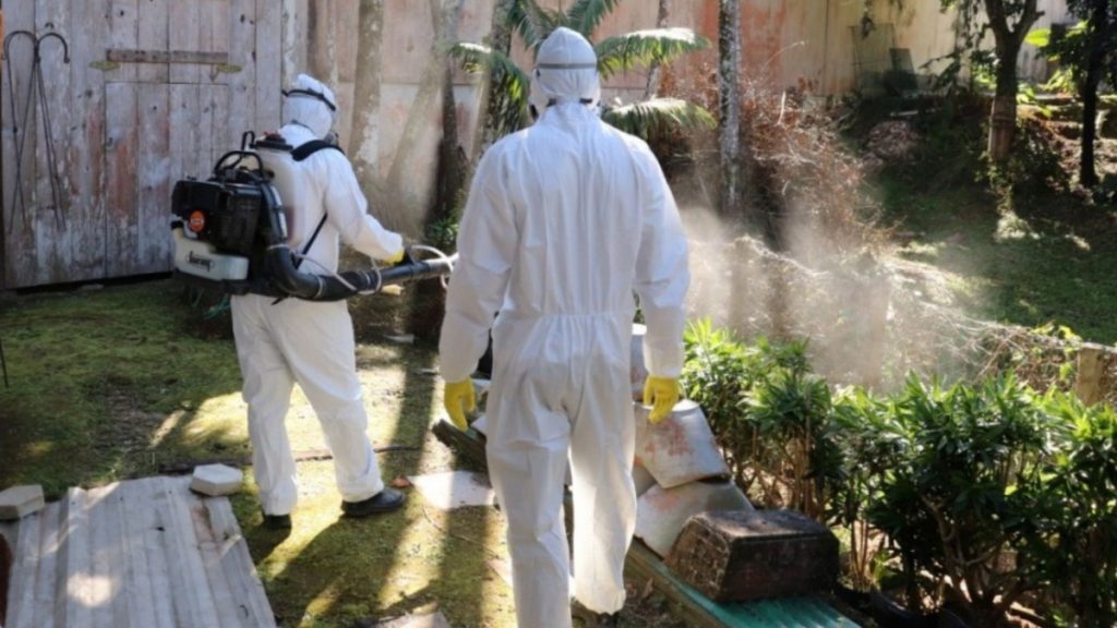 After recording more than 200 cases and more than 1,800 outbreaks of dengue mosquitoes, Dive will spray again in Blumenau