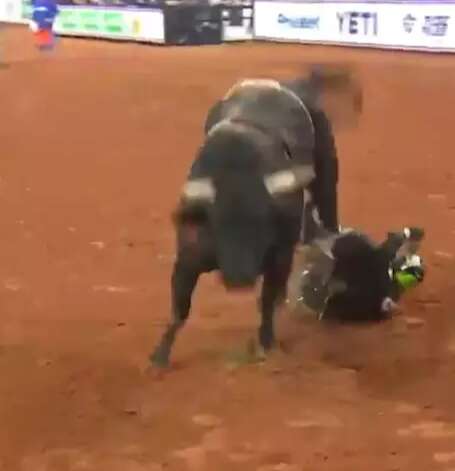 Two-time riding champion MS Cowboy was trampled by a bull in an American competition - sport
