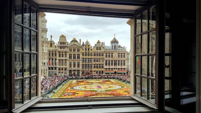 Brussels Flower Carpet