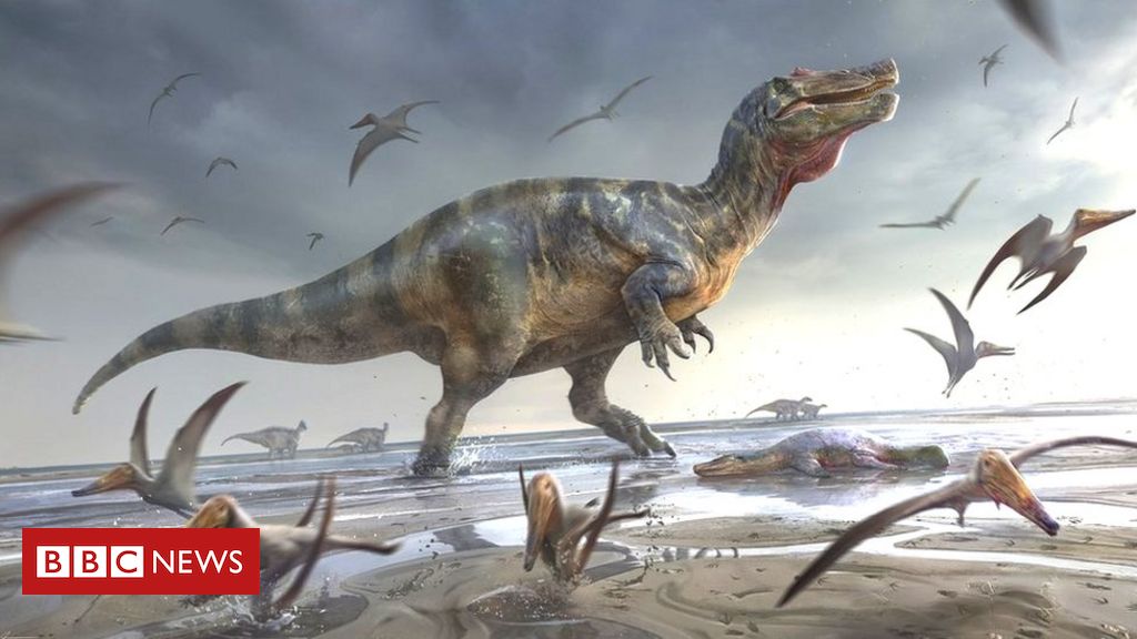 What was the 'largest dinosaur in Europe' newly discovered in England