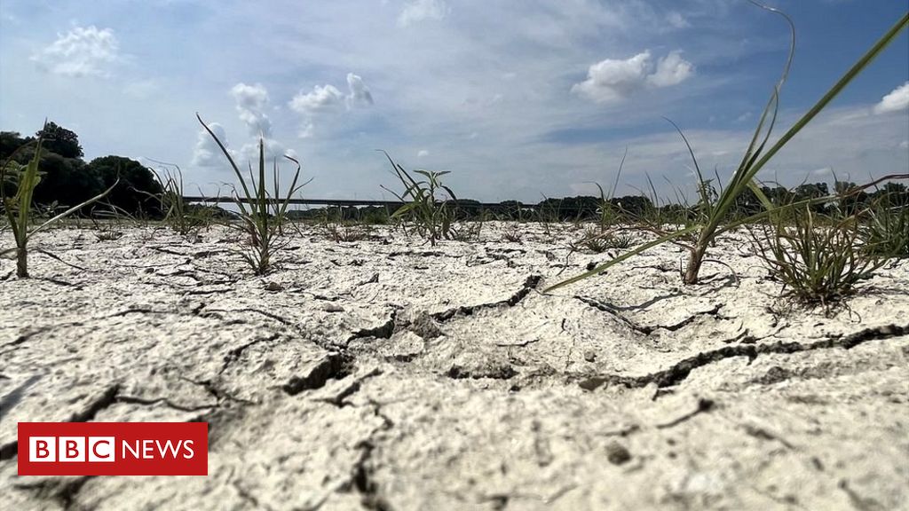 Drought in Italy's longest river: 'I was born here, and I've never seen anything like this before'
